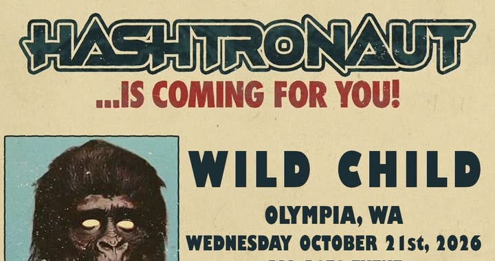 Hashtronaut + Tigers On Opium + Verota poster